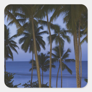 Dominican Republic, Samana Peninsula, Las Square Sticker