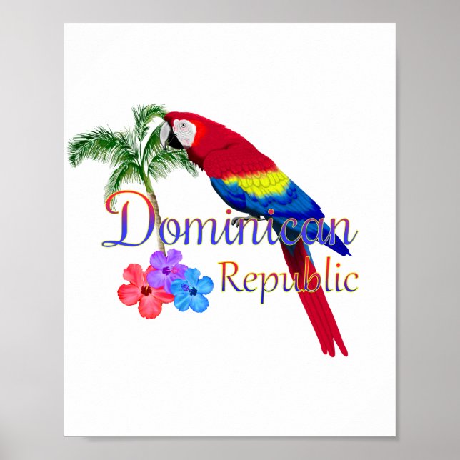 Dominican Republic Tropical Poster (Front)