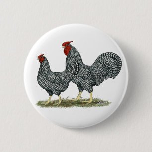 Dominique Chickens 6 Cm Round Badge