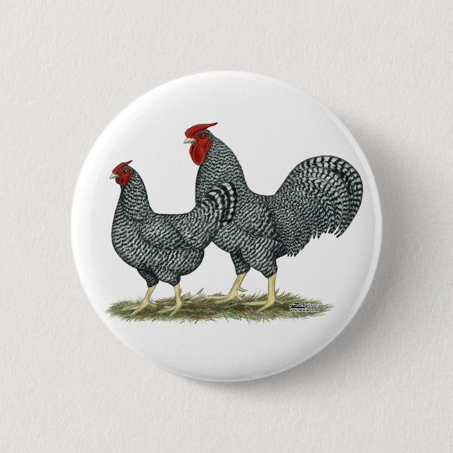 Dominique Chickens 6 Cm Round Badge (Front)