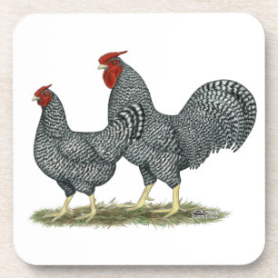 Dominique Chickens Coaster