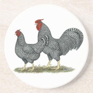 Dominique Chickens Coaster