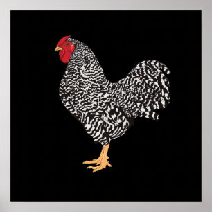 Dominique Rooster Poster