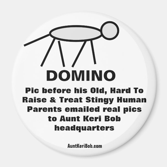 Domino Magnet (Front)