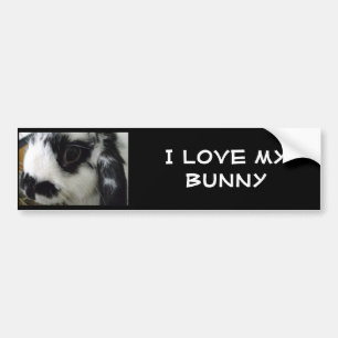 domino-up-close, I love my Bunny Bumper Sticker