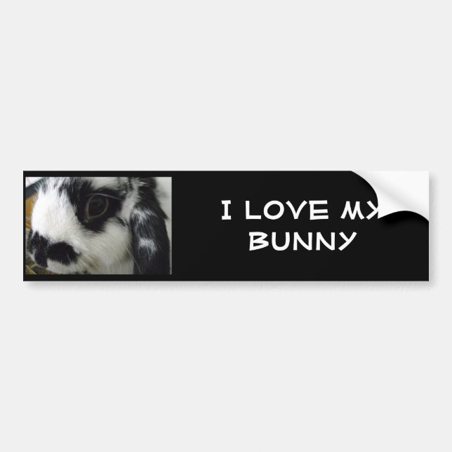 domino-up-close, I love my Bunny Bumper Sticker (Front)