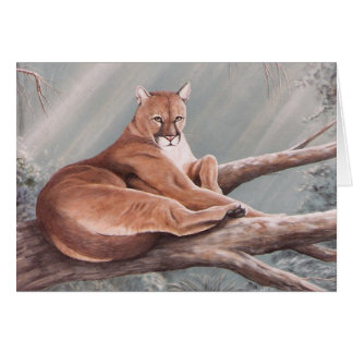 Don Corle-cougar
