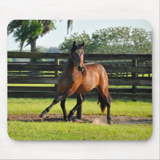 Don diego Side Pass Mouse Mat