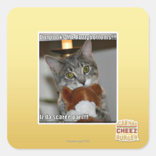 Don looks square sticker