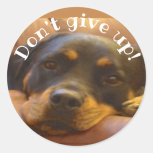 Don’t Give Up Rottweiler Classic Round Sticker