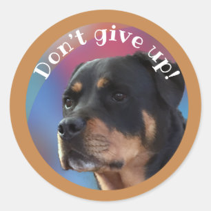 Don’t Give Up Rottweiler Classic Round Sticker