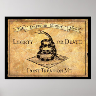 Don’t Tread on Me Poster