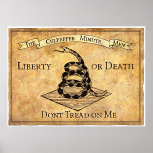 Don’t Tread on Me Poster