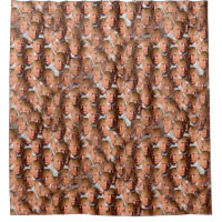 donald drumpf bathroom shower curtain