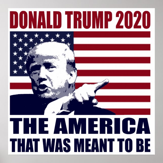 Donald Trump 2020 For President Election 2020 Poster (Front)