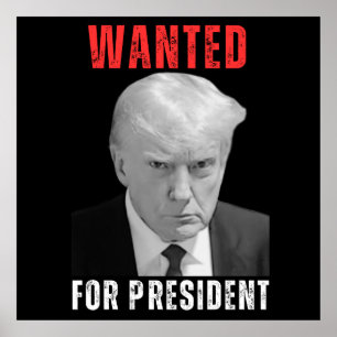 Donald Trump 2024 Wanted For President Poster