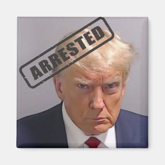 Donald Trump "Arrested" Mugshot Magnet