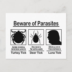 Donald Trump Beware of Parasites Postcard