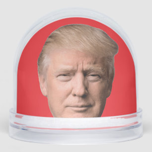 DONALD TRUMP CHRISTMAS SNOW GLOBE