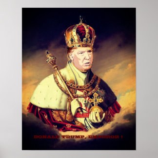DONALD TRUMP, EMPEROR ! POSTER