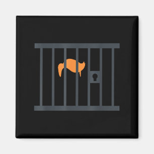 Donald trump impeach anti-trump behind bars Donald Magnet