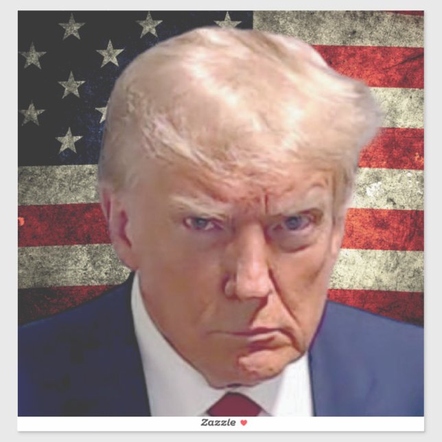 Donald Trump Mug Shot Sticker with American Flag  (Sheet)