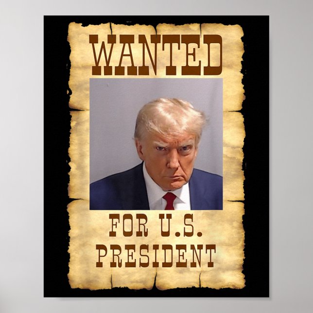 Donald Trump Mug Shot Wanted For U.s. President 20 Poster (Front)