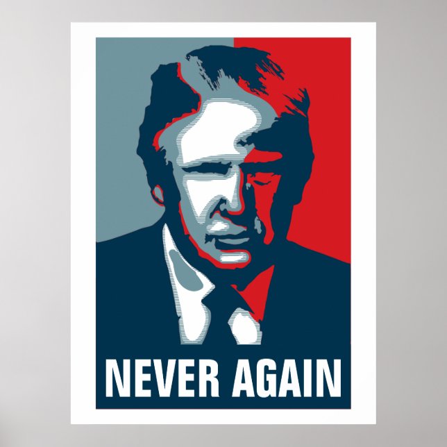 Donald Trump NEVER AGAIN Poster (Front)