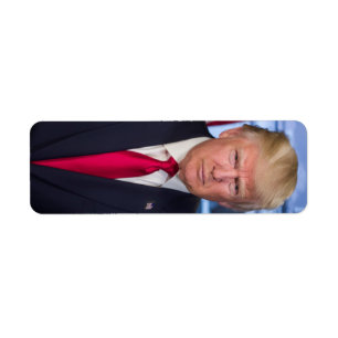 Donald Trump Official Presidential Portrait