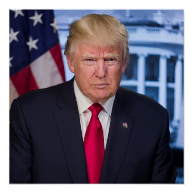 Donald Trump Official Presidential Portrait Poster (Front)