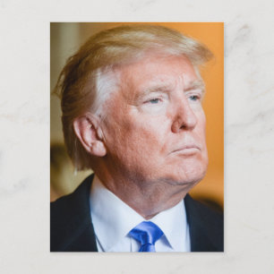 Donald Trump Portrait Postcard