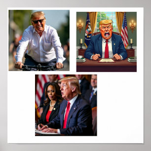 Donald Trump  Poster