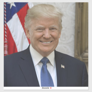 Donald Trump US President White House MAGA 2024