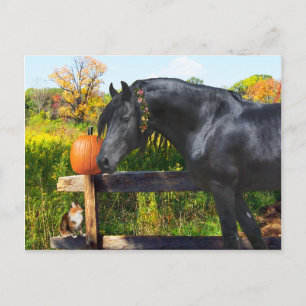 "Donatella" Postcard