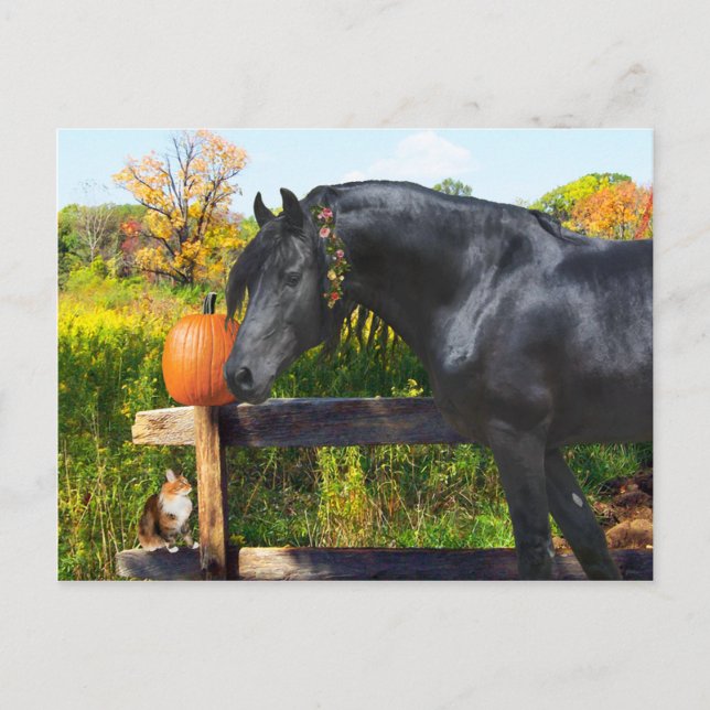 "Donatella" Postcard (Front)