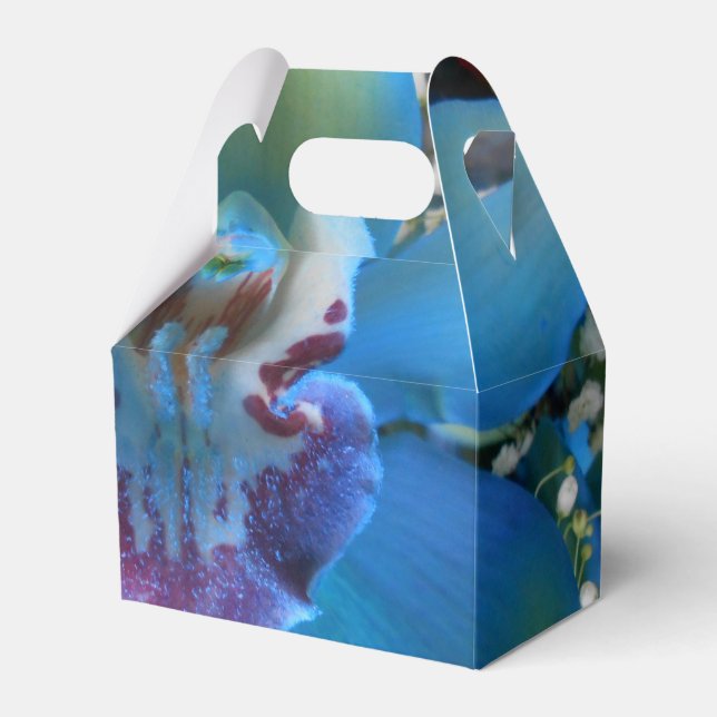 Donella Favour Box (Front Side)