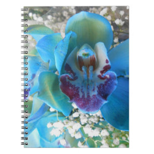 Donella Notebook