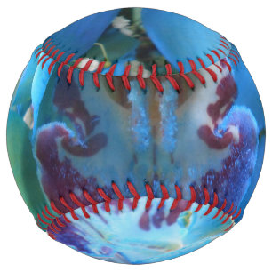 Donella Softball