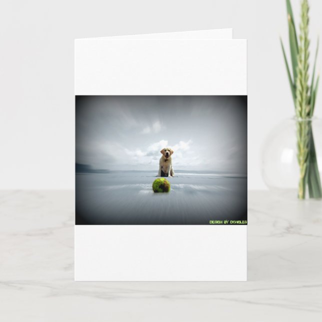 Dongles and ball.jpg holiday card (Front)