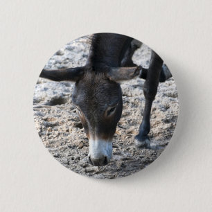 Donkey 6 Cm Round Badge