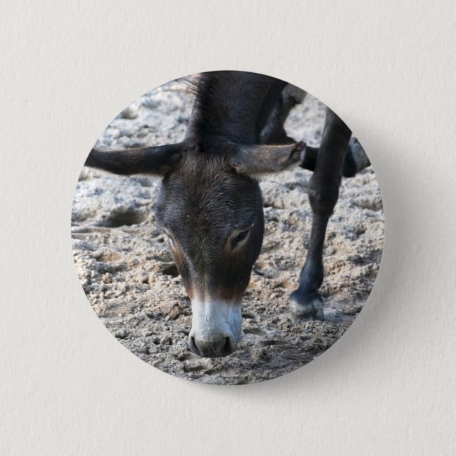 Donkey 6 Cm Round Badge (Front)