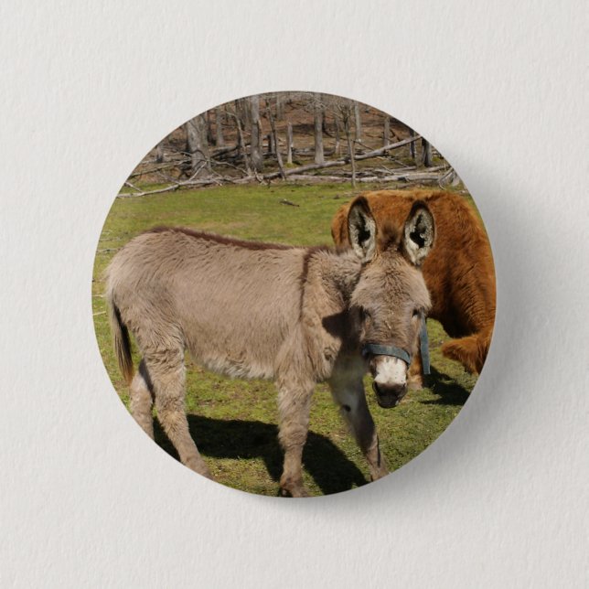 Donkey 6 Cm Round Badge (Front)