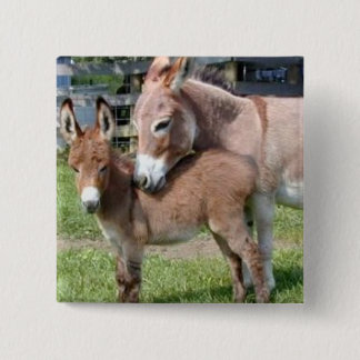 Donkey and Baby 15 Cm Square Badge