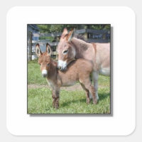 Donkey and Baby