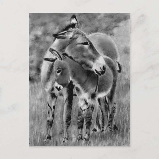 Donkey and Foal Postcard (Front)