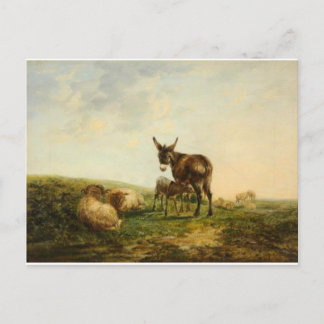 Donkey and Sheep by William Shayer Postcard
