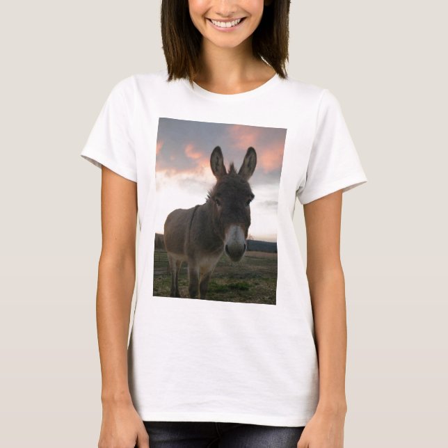 Donkey Art T-Shirt (Front)