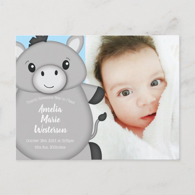 Donkey Baby Shower Blue Postcard (Front)