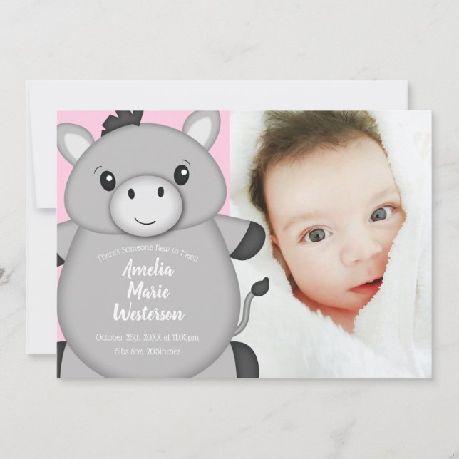 Donkey Baby Shower Pink Invitation (Front)