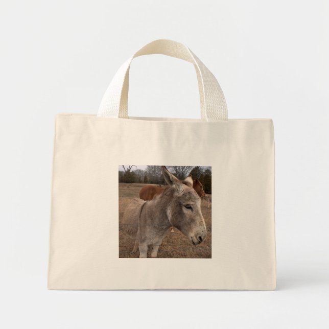 Donkey Bag (Front)